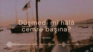 Kır Papatyası ||  Bahadır Sağlam -Sözleri (Lyrics) - Speed up