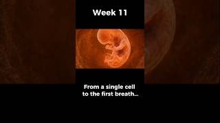 Amazing facts || Fertilisation || Human reproduction #biology #science #ncert