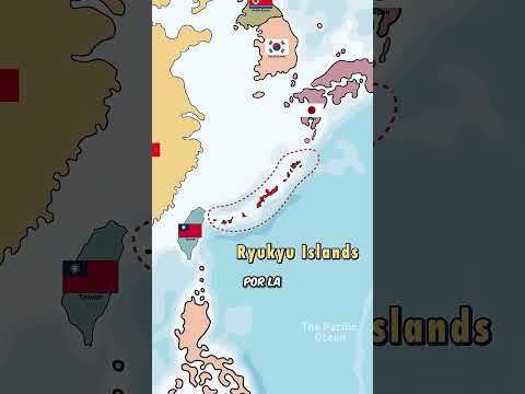 Uso Real De Las Armas De Las Tortugas Ninjas | Crónicas