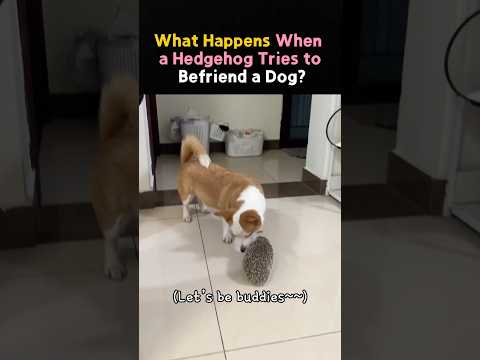 What Happens When