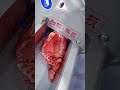 The Ultimate Kitchen Tool This Rib Cutting Machine Processes 5 Tons a Day with One Person