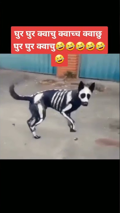 Ghur ghur kwachum kwacha kwahum