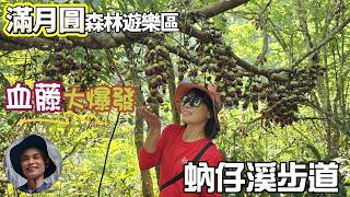 A massive bloom of blood vines is happening at the Nuzixi