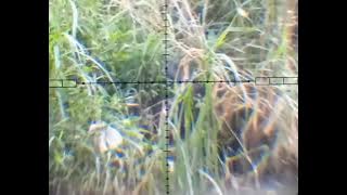 momen lucu saat berburu😄😄😂😂😂