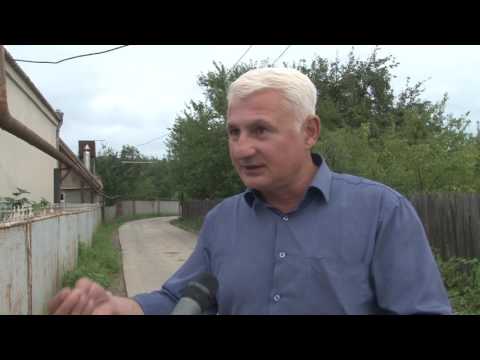 გაძარცვული ირინეს პარკი