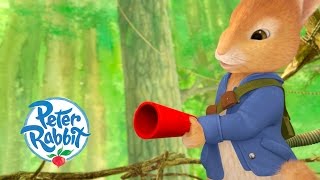 Peter Rabbit - The Hazelnut Raid