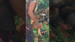 Satisfaction skills coconut satisfying food viral natural skills clever