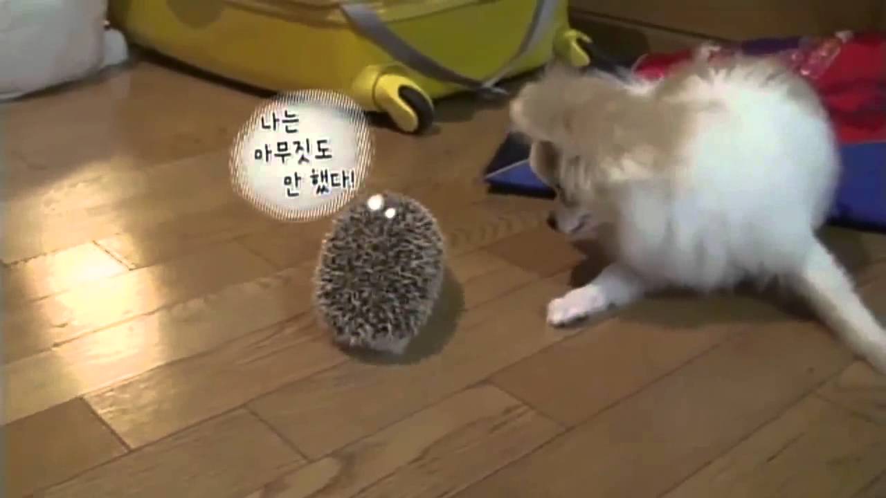 KARA SeungYeon スンヨン -Private time- 日本語訳