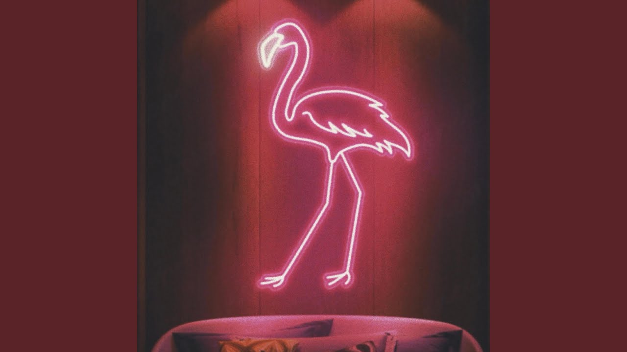 Watch Flamingo Intro on YouTube Watch Flamingo Intro on YouTube
