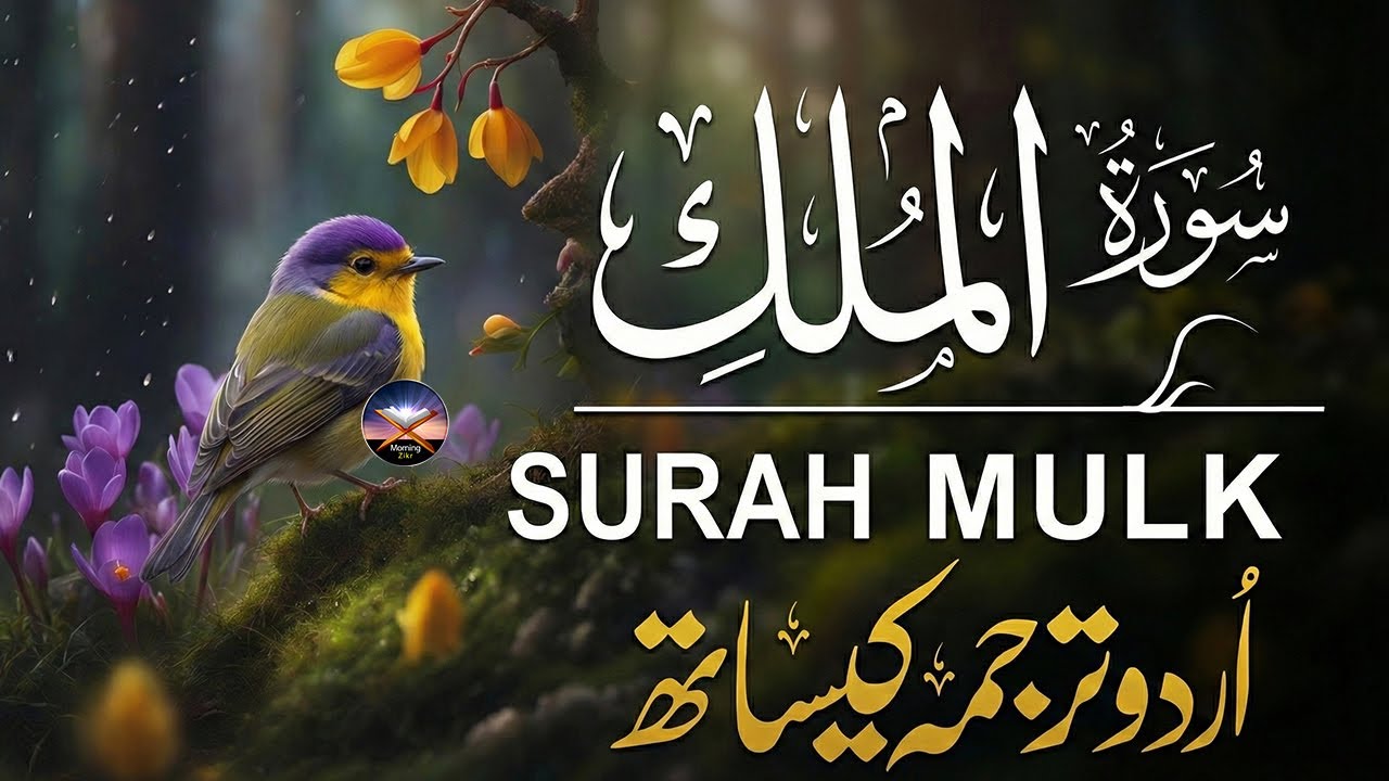 Surah Al-Mulk سورة الملك | Heart-Calming Recitation for Protection, Peace & Night | 