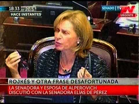 Duro cruce entre Beatriz Rojkés y Silvia Elías en el Senado