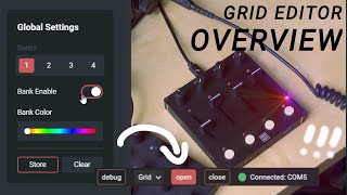 Celebrity Grid Editor: Overview Wealth