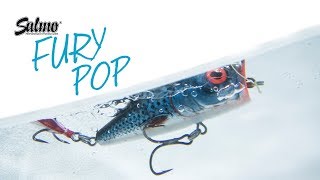 ***SALMO FURY POP***