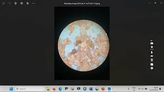 Tutorial Point Counting | Praktikum Petrografi Teknik Geologi Undip 2025 Acara B. Sedimen Karbonat