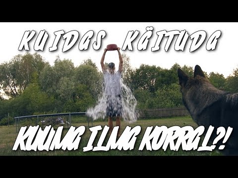 Video: Kuidas Käituda Solvamise Korral