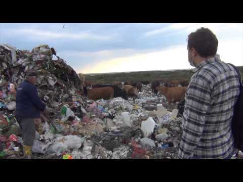 გელა ძნელაძის ფოტოგამოფენა-\"ხედვა დაბრკოლებებს მიღმა\"