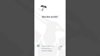 Pheanix Aangifte Online - Hulp Bij Uw Belastingaangifte Voor Particulieren.