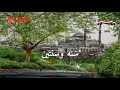 فريد الاطرش سنة وسنتين                                   