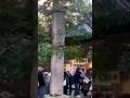 7.6 magnitude Japan Earthquake in Toyama #japanearthquake #2024 #shorts