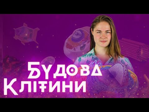 Підготовка до ЗНО з біології: Будова клітини людини. Які органели входять до складу клітини? / ZNOUA