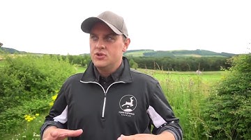 Constraints led coaching testimonial