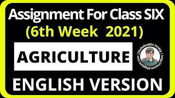 Agriculture Assignment Class 6 (English Version) 6th week 2021 || Agriculture Studies EV Assignment