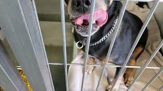 acs A673059