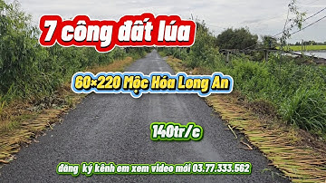 Bán  7 công đất lúa  lấy tiền  làm ăn, 60*225 tại mộc hóa long an