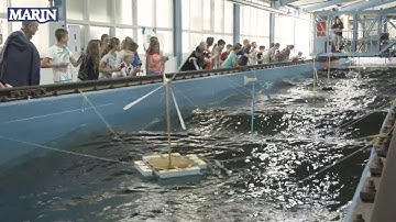 MARIN - Technasium students test their floating wind turbines