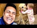 REACTING TO CUTE FUNNY DOG VIDEOS (TRY NOT TO SMILE)