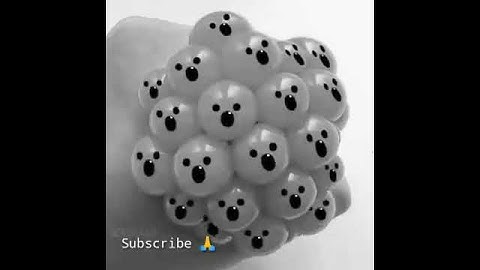 Wait for the end 🥰 #Shorts #funny #viral #new #trending #subscribe #tiktok #video #loop #fyp (1)