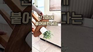 장식품엔 이거진짜 필수품! 접착제 중에 명품!!