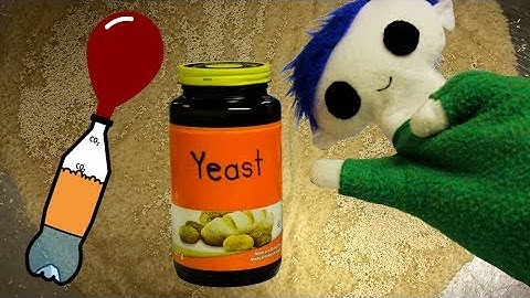 The Science of Yeast | Science for Kids