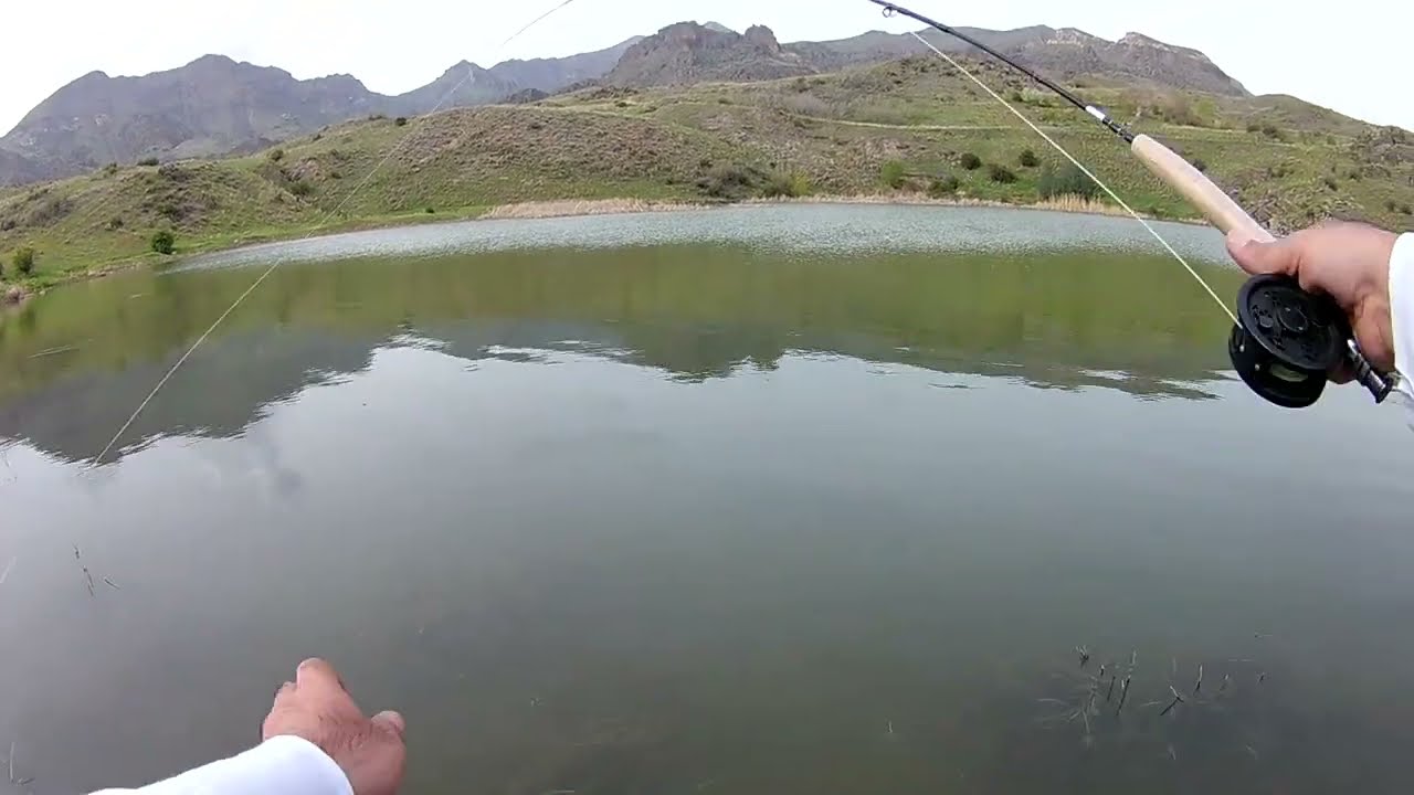 Թեփուղի Միջատավորս Հայաստանում /// Fly Fishing in Armenia /// Рыбалка Нахлыстом в Армении