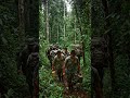 La milagrosa historia de 4 niñas que sobrevivieron 40 días en la selva amazónica #OperaciónEsperanza