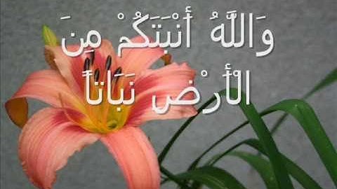 مقتطفات من سورة نوح مع الشيخ محمد جبريل