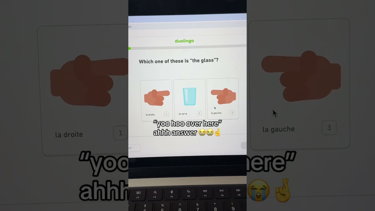 what is duolingo even about bro 😭 credit: @fartmcgeefart