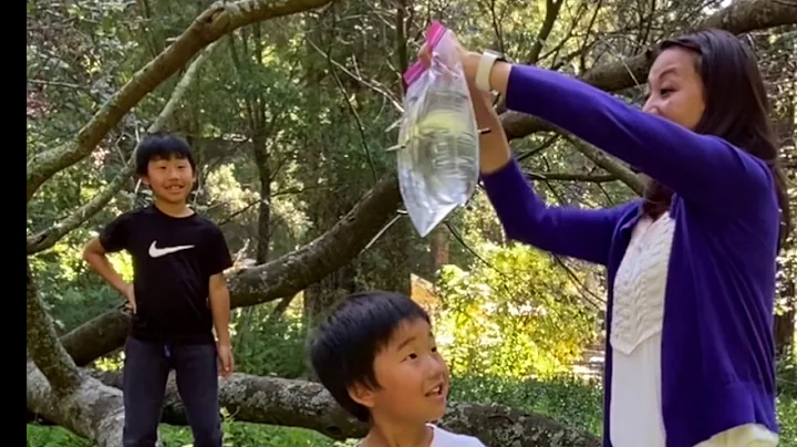 Object lesson on trust