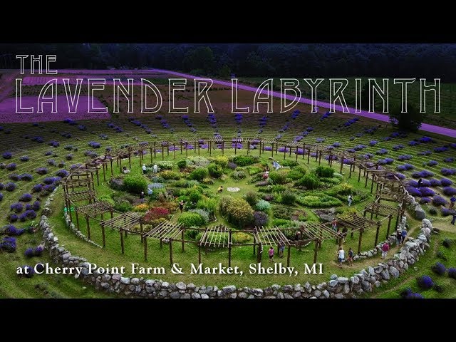 The Lavender Labyrinth Cherry Point Farm Market Shelby Michigan Youtube,Overlays For Ikea Furniture Canada