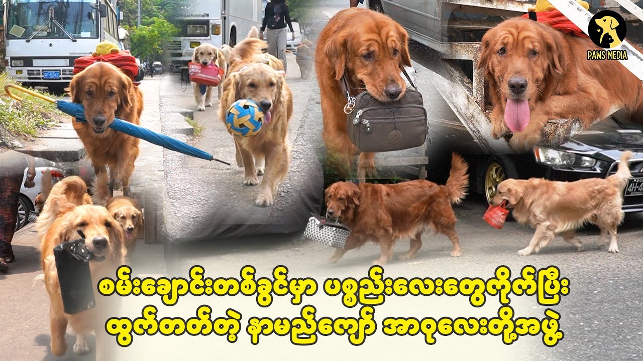 စမ်းချောင်းက ဆယ်လီအာဝုသူချစ်ခင်