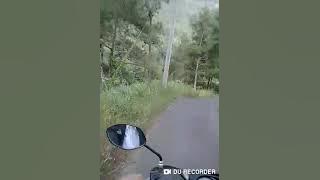 story wa ~ noah 'Hari yang cerah untuk jiwa sepi'