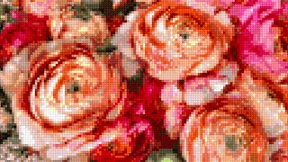 cross stitch world - roses screenshot 4