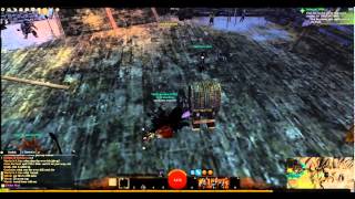 Drunk In Guild Wars 2