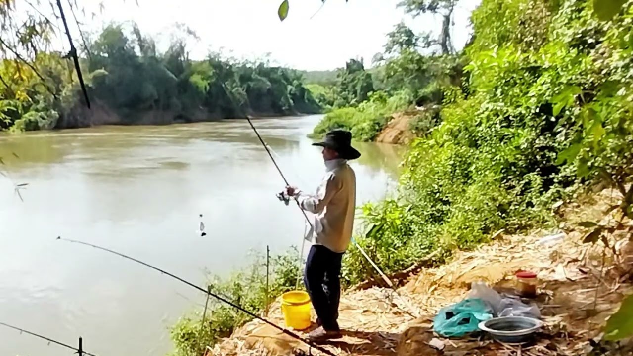 Nai trở lại sông bé vịn xoáy tìm con cá kể 