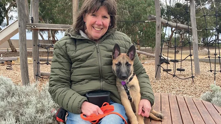 Scent Detection for Dogs Online Training Course Promo