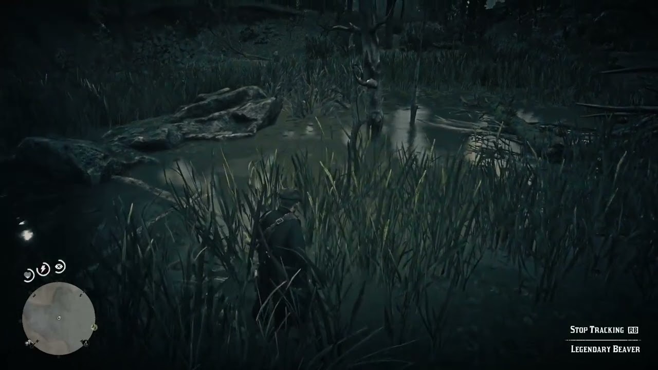 LEGENDARY BEAVER - Red Dead Redemption II