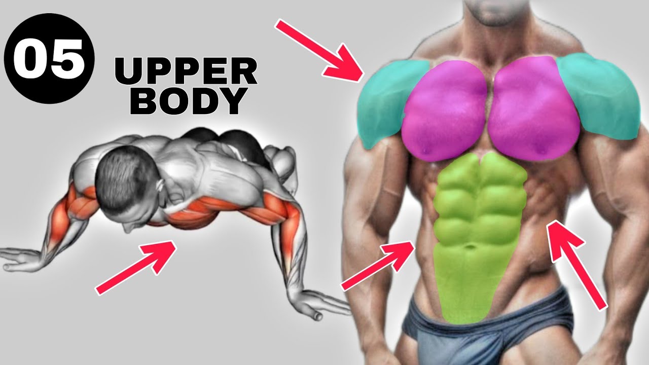 5 Best Workout For Upper Body|Chest Abs Shoulder| - YouTube