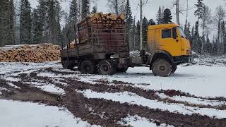 Камаз полуприцеп лесовоз пришёл за лесом