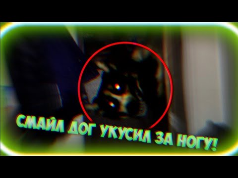 как вызвать смайла