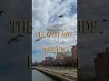Silent Moments and Steps in Harlem
